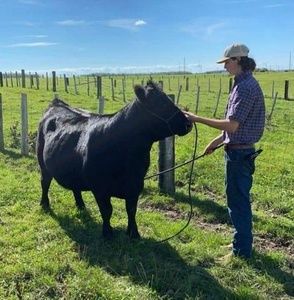 Meet your Posher, Jacob